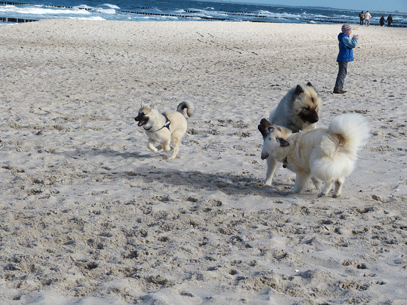0083 der letzte gemeinsame Tag ging nun zu Ende.JPG
